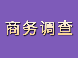 河池商务调查