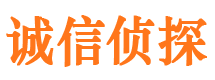 河池调查公司